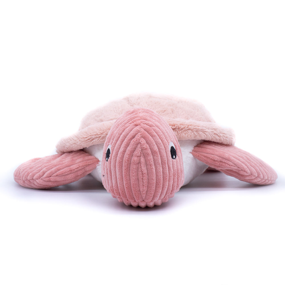 The Giant Turtle - La Tortue 50cm (Asst. Colours Available)