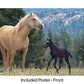 Breyer Cloud's Encore and Tor