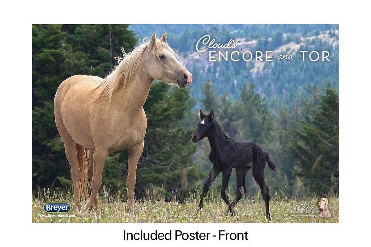 Breyer Cloud's Encore and Tor