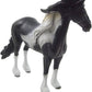Barock Pinto Stallion