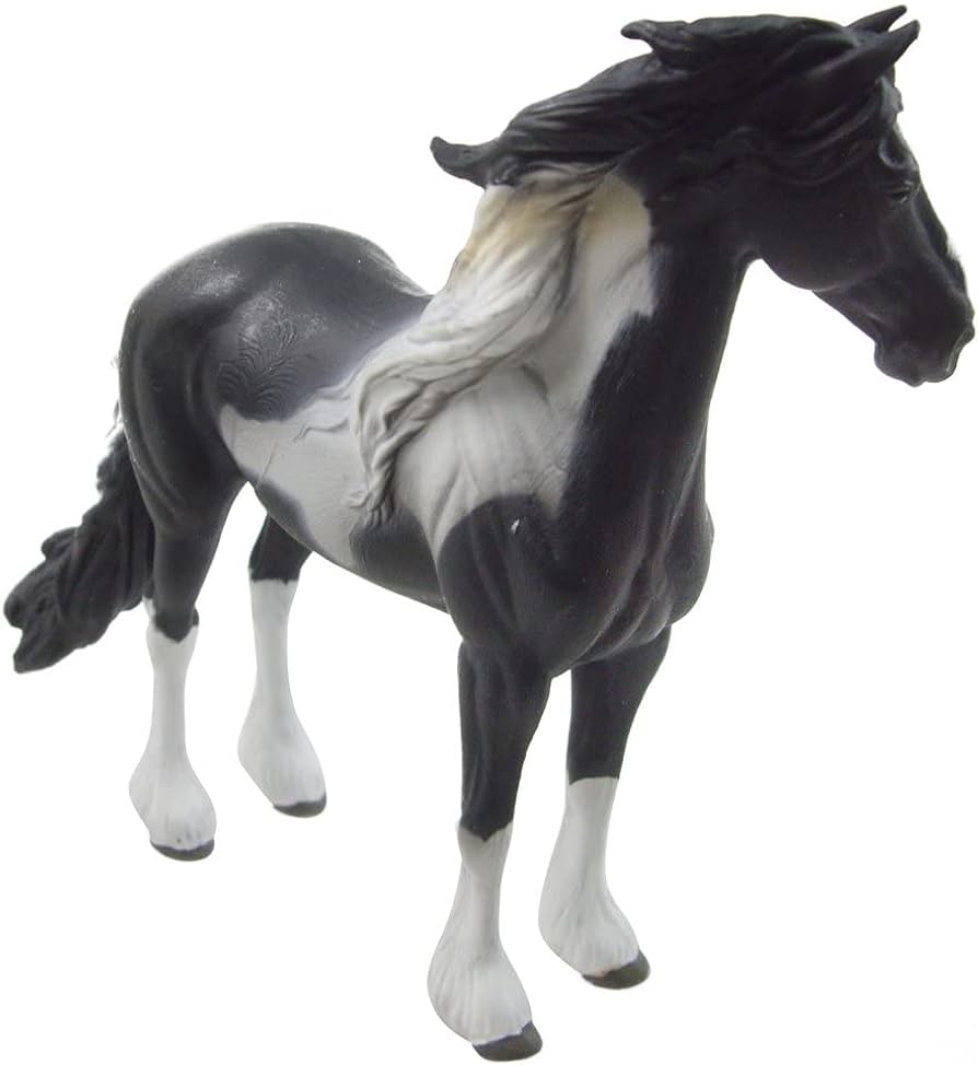 Barock Pinto Stallion