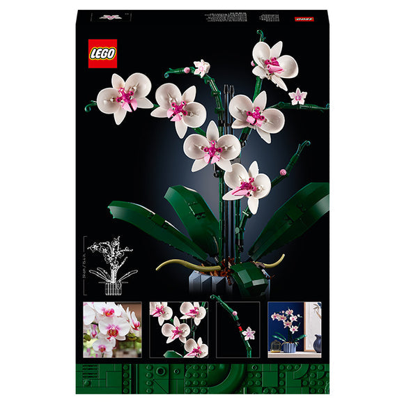 Botanicals Orchid