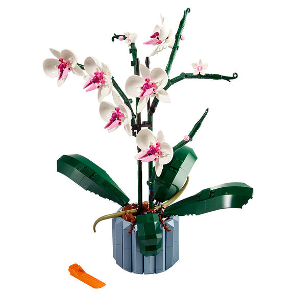 Botanicals Orchid