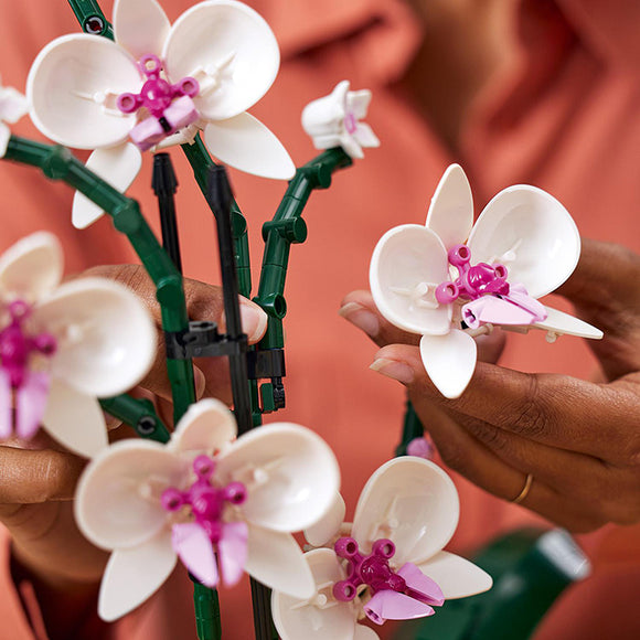 Botanicals Orchid