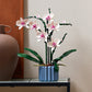 Botanicals Orchid