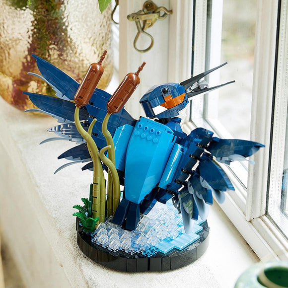 Kingfisher Bird