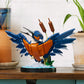 Kingfisher Bird