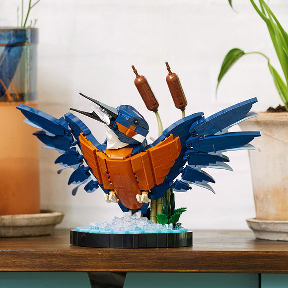Kingfisher Bird
