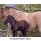 Breyer Cloud's Encore and Tor