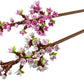 Botanicals Cherry Blossoms
