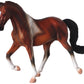 Tennessee Walking Horse Stallion Bay Pinto