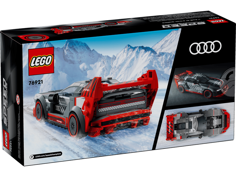 Audi S1 e-tron Quattro Race Car
