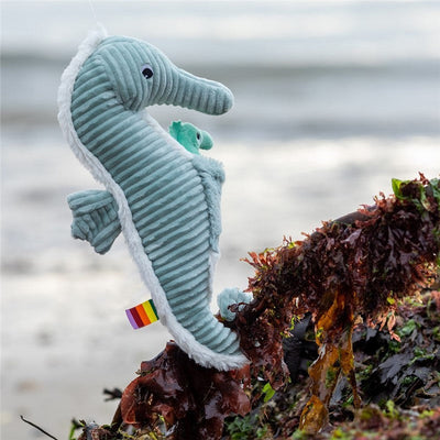 The Seahorse Dad and Baby - L’hippocampe 34cm (Asst. Colours Available)