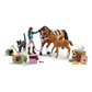 Horse Club Advent Calender Sofia's Winter Surprise - 24 pieces