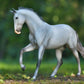 Breyer Catch Me