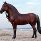 Breyer Dominante XXIX PRE Stallion Horse