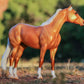 The Ideal Series - Palomino