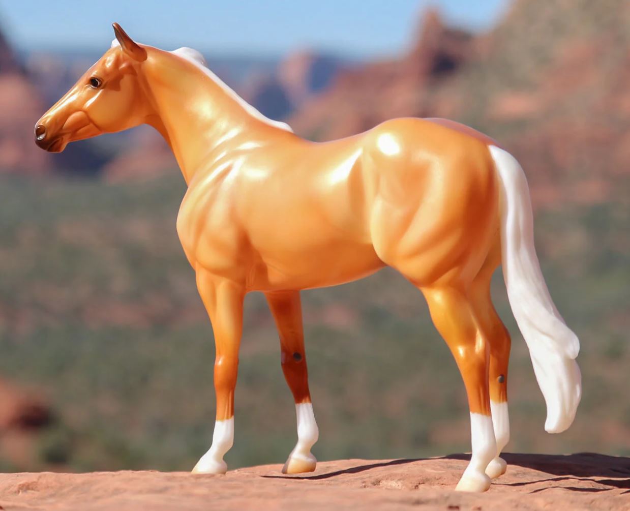 The Ideal Series - Palomino