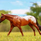 Chocolatey Appaloosa Horse Stallion