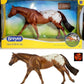 Chocolatey Appaloosa Horse Stallion