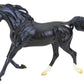 KB Omega Fahim Champion Arabian Stallion