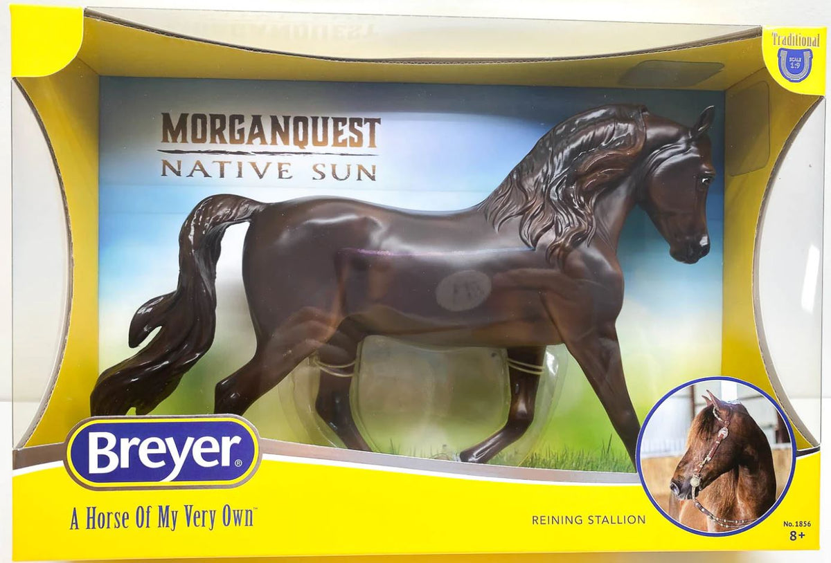 MorganQuest Native Sun