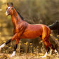 Breyer Adamek Akhal-Teke Horse