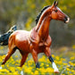 Breyer Adamek Akhal-Teke Horse