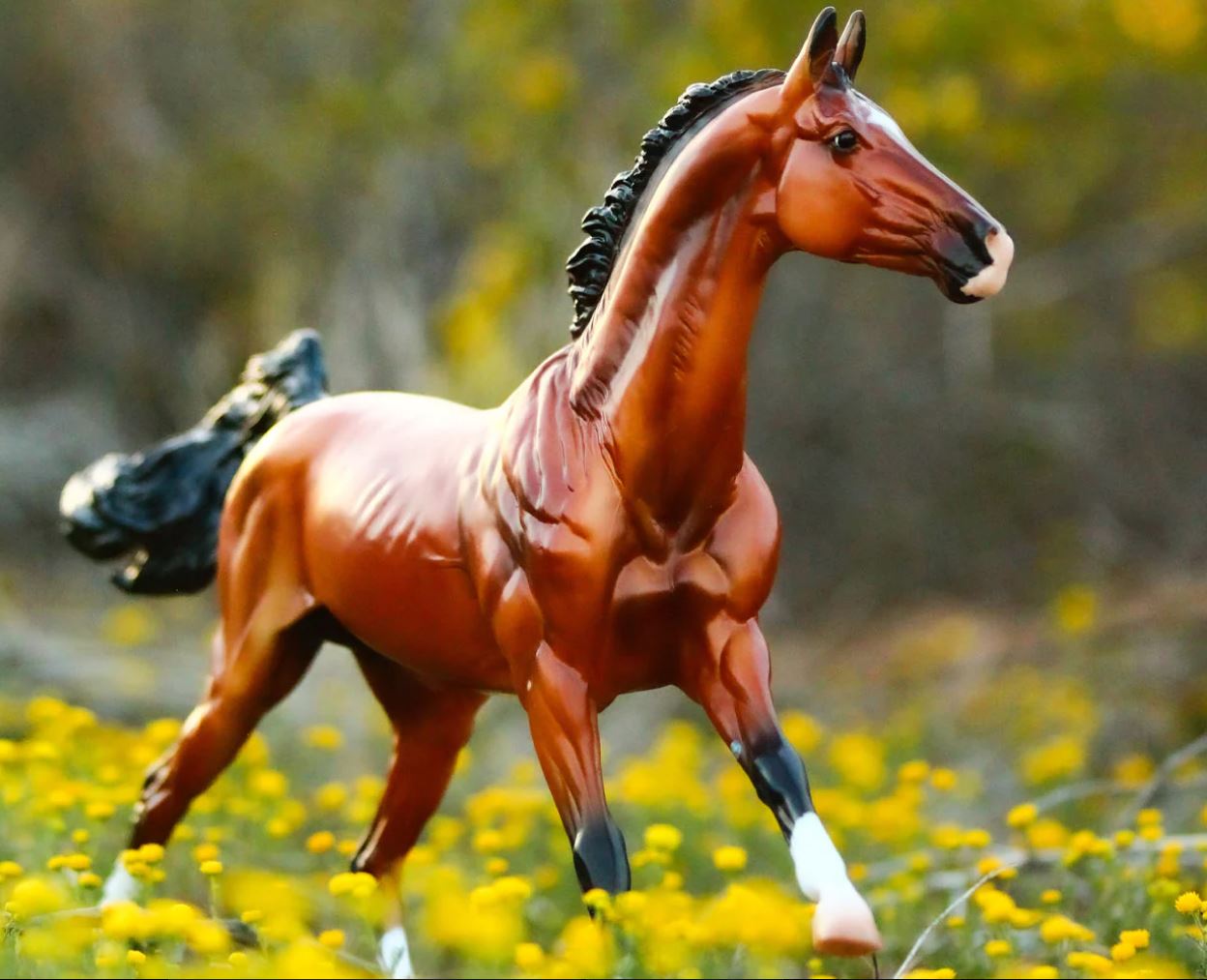 NIB hotsell Breyer LE Akhal-Teke