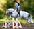 Show Jumping Oxer