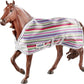 Colorful Blankets Assorted