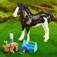 Grooming Kit