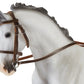 Hunter/Jumper Bridle