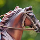 Hunter/Jumper Bridle