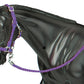 Nylon Halters - Hot Colored 3 piece assortment