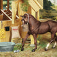 Stable Feeding Set