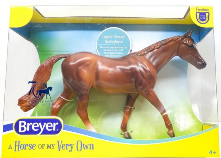 Coppery Chestnut Thoroughbred