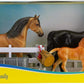 Spanish Mustang Family