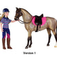 English Horse & Rider