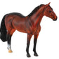 Bay Hanoverian Stallion