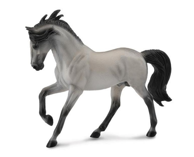 Grey Andalusian Stallion