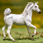 Grey Arabian Mare