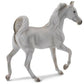 Grey Arabian Mare