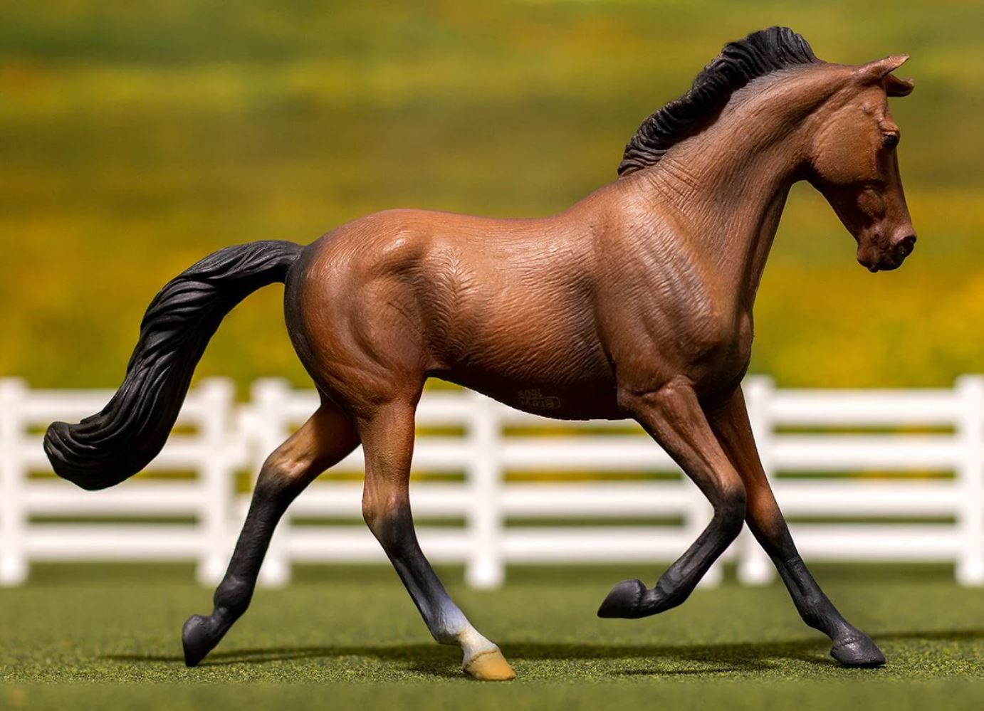 Bay Thoroughbred Mare