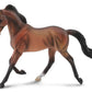 Bay Thoroughbred Mare