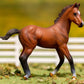 Bay Quarter Horse Foal