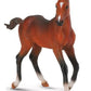 Bay Quarter Horse Foal