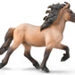 Icelandic Stallion