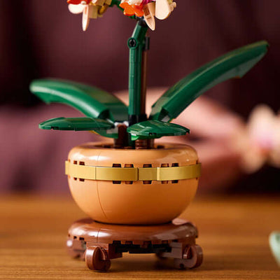 Botanicals Mini Orchard
