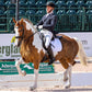 Breyer Adiah HP Horse